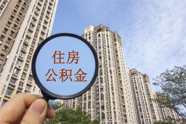福鼎深圳公积金（深圳公积金首页）